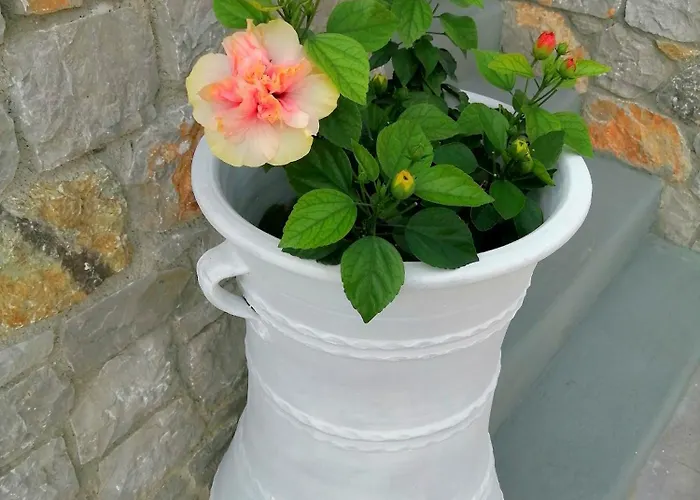 Apartament Enilion Luxury *