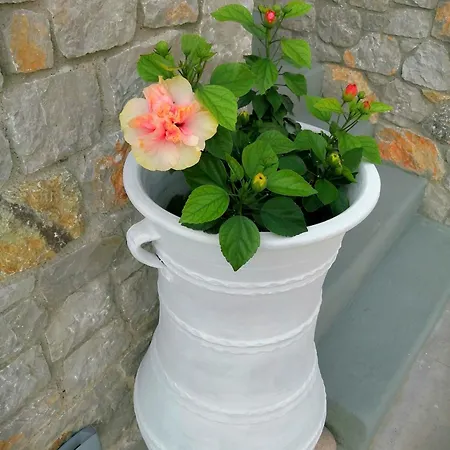 شقة Enilion Luxury *